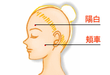 美容鍼灸