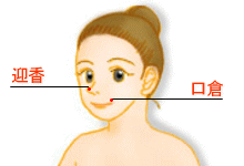 美容鍼灸