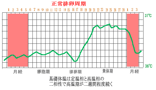 不妊治療と針灸