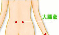 大腸の動き