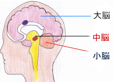 パーキンソン病の症状