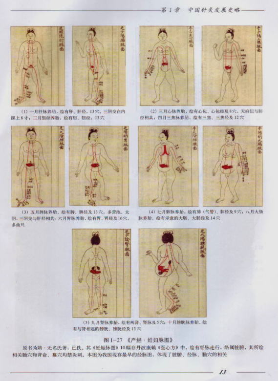 東洋医学と不妊症